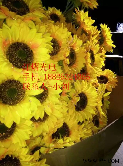 灯熠光电DY012  公园景观灯地插玫瑰花灯地插迷人郁金香灯