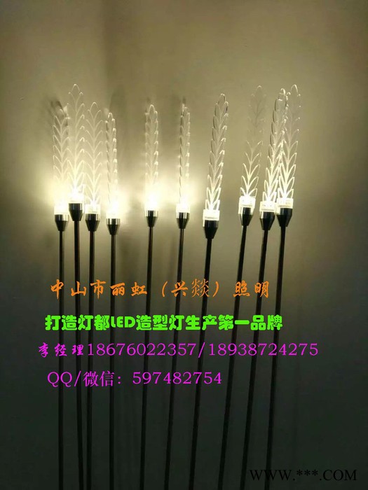 自主led造型灯，led图案灯，led灯画，led街道灯，led灯杆灯，跨街图案灯，led景观灯，led灯带图6