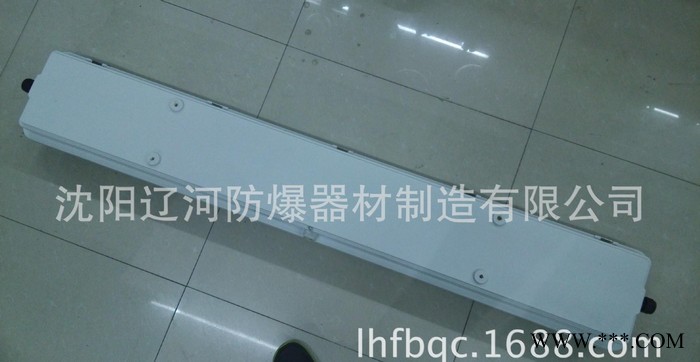 BAY52 防爆灯 防爆防腐灯 高效节能灯 全塑荧光灯  辽图2