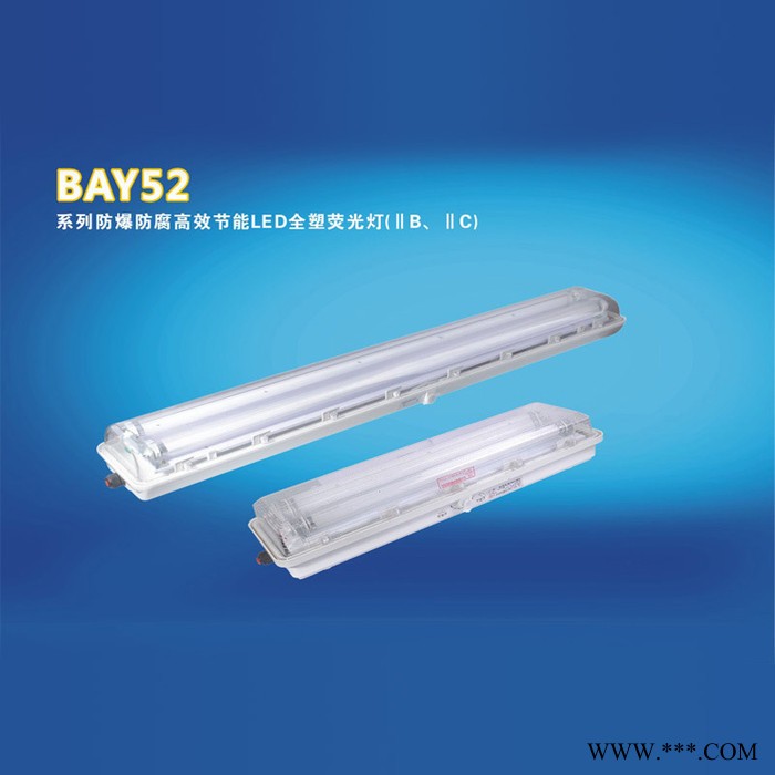 BAY52 防爆灯 防爆防腐灯 高效节能灯 全塑荧光灯  辽图3