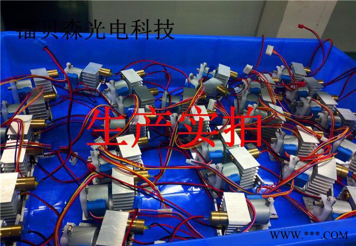 激光草坪灯  激光景观灯 镭射户外防水灯图3