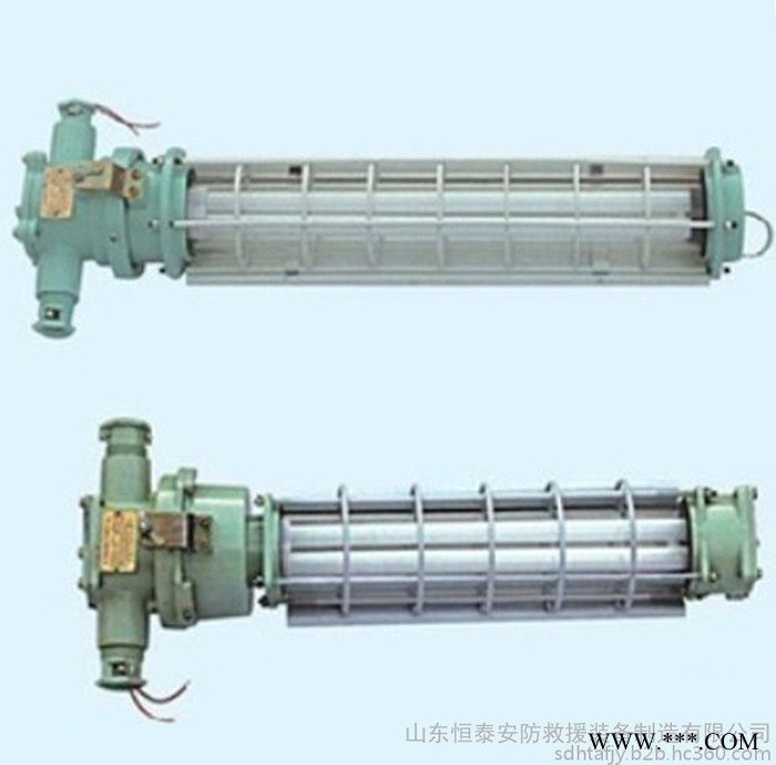 矿用隔爆型荧光灯  DGS20/127Y矿用隔爆型荧光灯图1