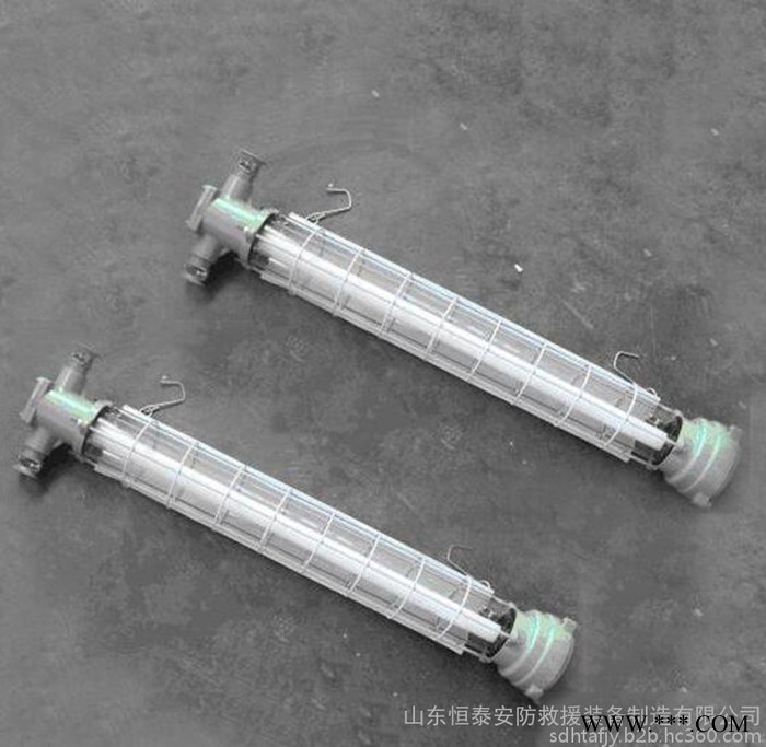 矿用隔爆型荧光灯  DGS20/127Y矿用隔爆型荧光灯图2