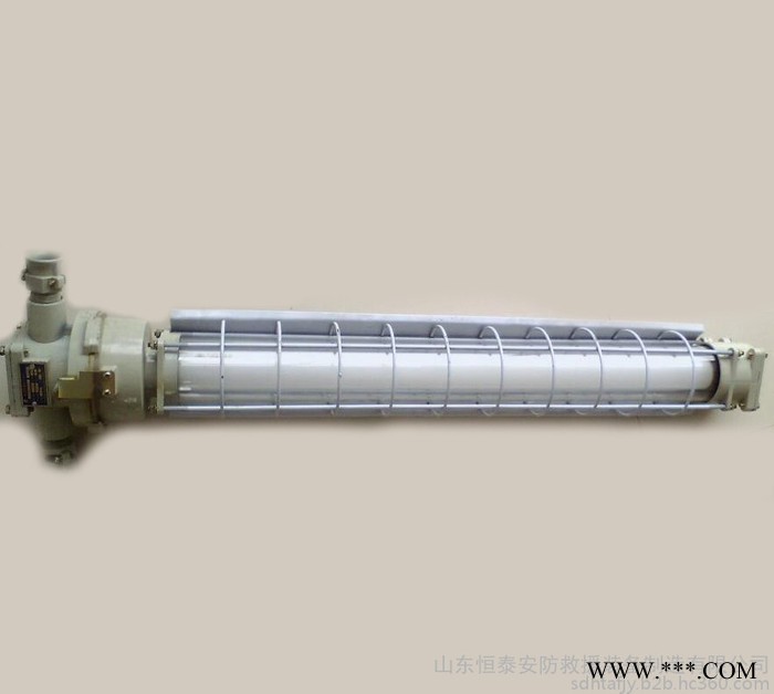 矿用隔爆型荧光灯  DGS20/127Y矿用隔爆型荧光灯图5