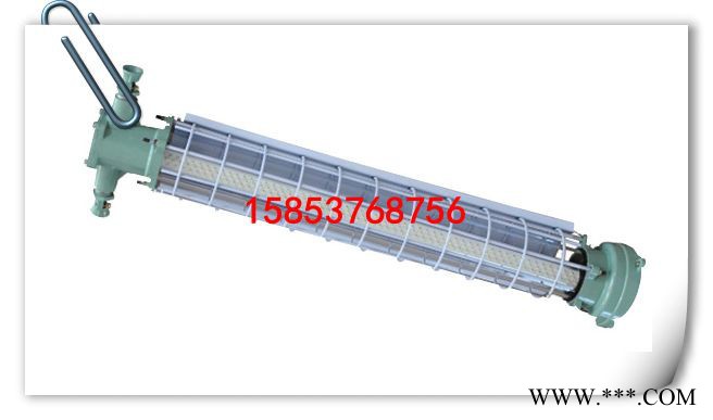DGS系列隔爆型荧光灯