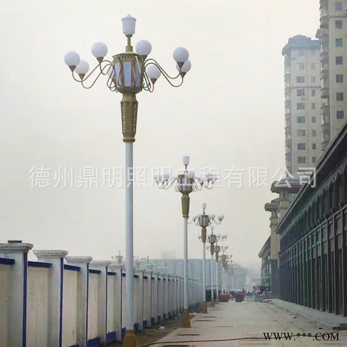 直销头欧式庭院灯 LED户外路灯 园林景观灯花园别墅灯具图3