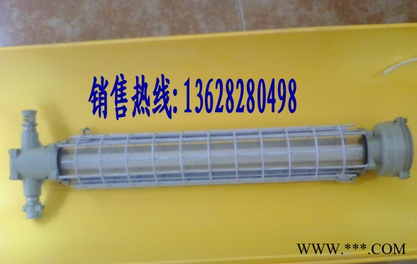 供应DGS-20/127DGS防爆荧光灯图2