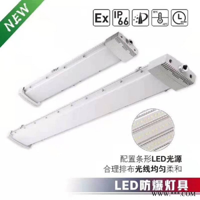 卫隆定制  LED防爆荧光灯 防爆防腐全塑荧光灯 双管单管应急荧光灯 防爆防腐LED荧光灯 防爆全塑荧光灯 防爆荧光灯图4