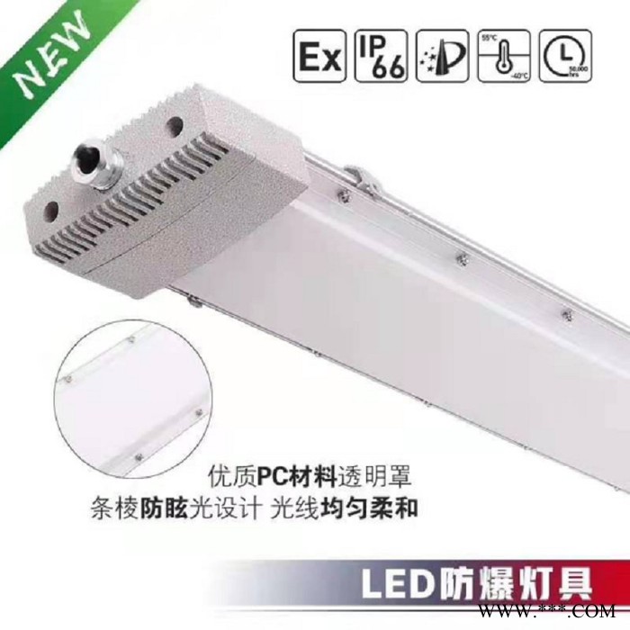 卫隆定制  LED防爆荧光灯 防爆防腐全塑荧光灯 双管单管应急荧光灯 防爆防腐LED荧光灯 防爆全塑荧光灯 防爆荧光灯图3