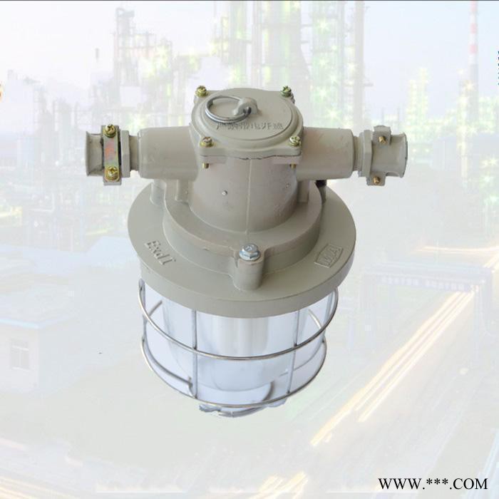 DGS13-127Y矿用隔爆型荧光灯 DGS13-127Y矿用隔爆型荧光灯图5