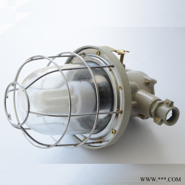 DGS13-127Y矿用隔爆型荧光灯 DGS13-127Y矿用隔爆型荧光灯图2