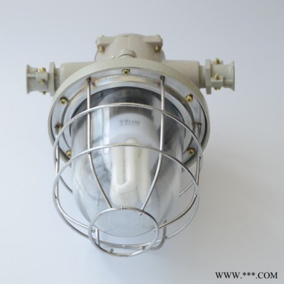 DGS13-127Y矿用隔爆型荧光灯 DGS13-127Y矿用隔爆型荧光灯