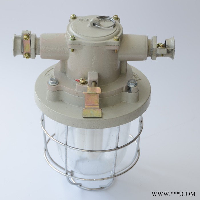 DGS13-127Y矿用隔爆型荧光灯 DGS13-127Y矿用隔爆型荧光灯图3