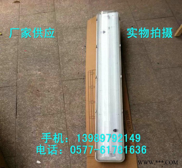 防水防尘防腐全塑荧光灯 FAY-2X40W三防全塑荧光灯