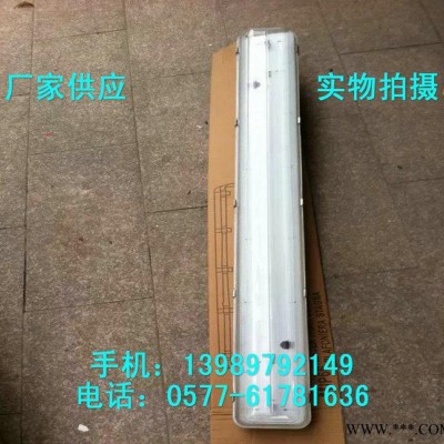 防水防尘防腐全塑荧光灯 FAY-2X40W三防全塑荧光灯
