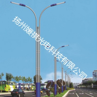 媛祺 景观灯  LED路灯，LED节能环保，普瑞灯珠高光效，高能量的**品
