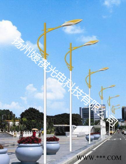 媛祺 景观灯  LED路灯，LED节能环保，普瑞灯珠高光效，高能量的**品图8