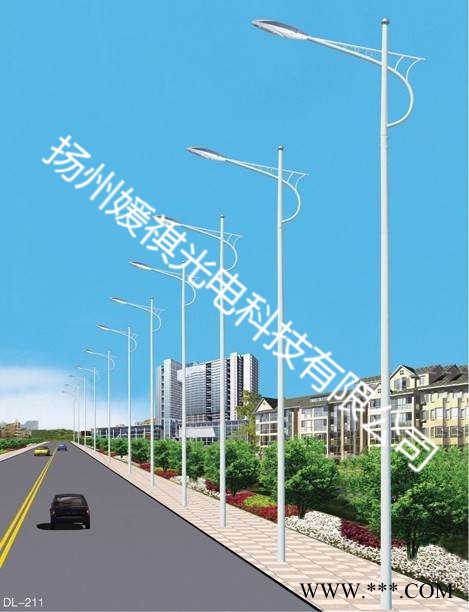媛祺 景观灯  LED路灯，LED节能环保，普瑞灯珠高光效，高能量的**品图7