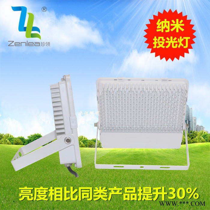 Zenlea珍领ZL-FL10-G ** 蜂窝煤投光灯 10w50w100w200w  绿化景观灯 LED纳米投光灯图5