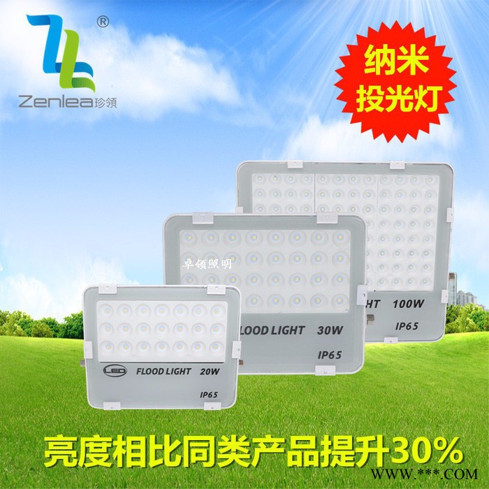 Zenlea珍领ZL-FL10-G ** 蜂窝煤投光灯 10w50w100w200w  绿化景观灯 LED纳米投光灯图2