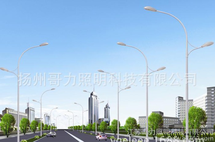 直销 LED路灯  路灯杆 景观灯