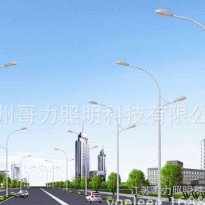 直销 LED路灯  路灯杆 景观灯