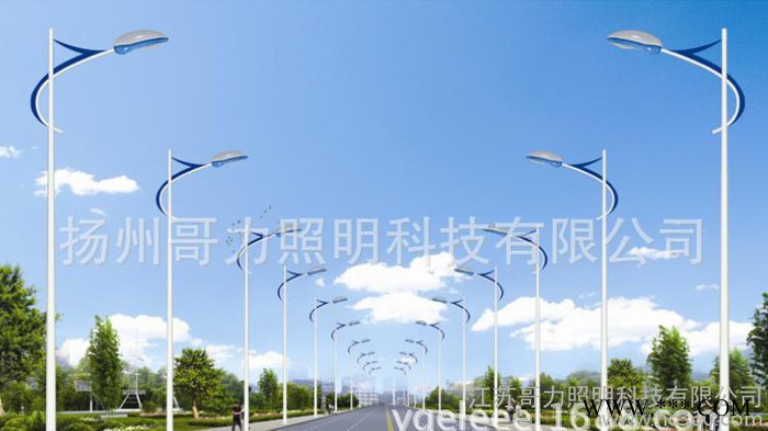 直销 LED路灯  路灯杆 景观灯图2
