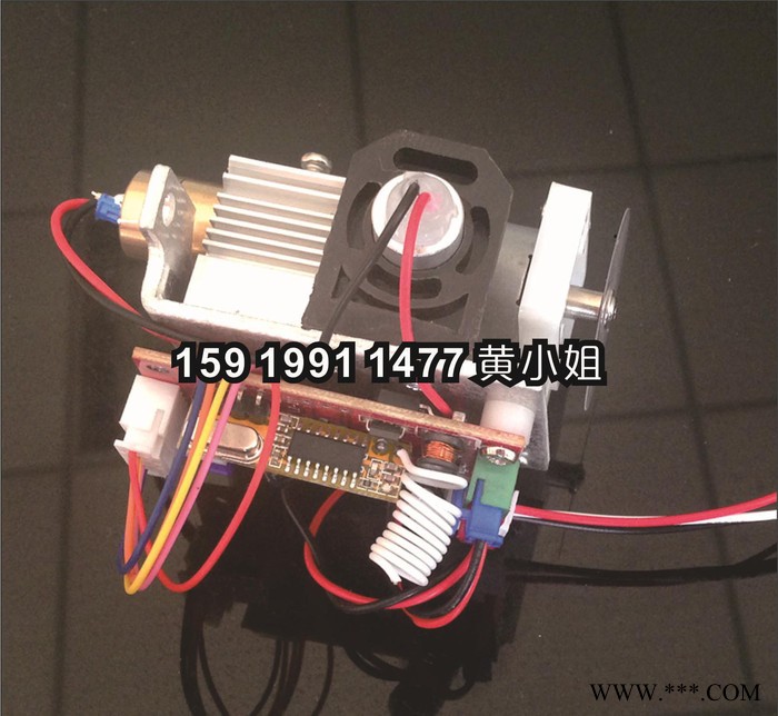 双孔动态草坪灯 总成模组 激光器 草坪灯 景观灯 激光草坪灯图2