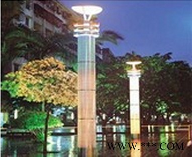 供应浩洋电光源特价批发 LED景观灯照明 led发光树灯 美观大气 户外景观灯图3