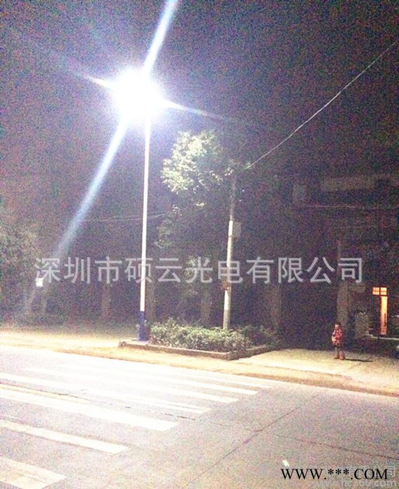 SAR-L60新款**太阳能灯 太阳能路灯 景观灯工厂直销 可OEM 一件