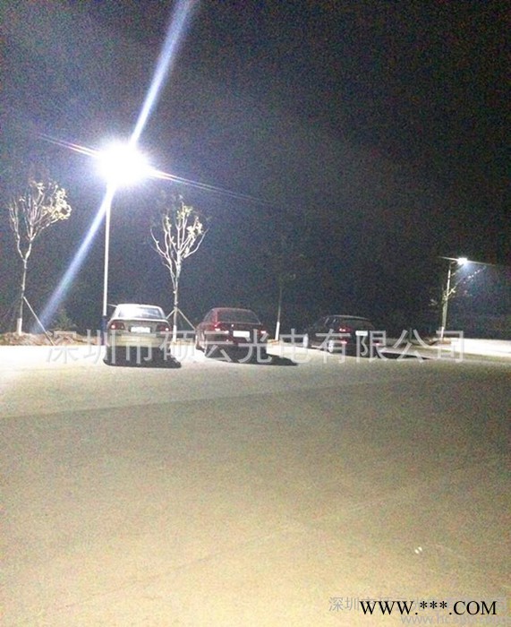 SAR-L60新款**太阳能灯 太阳能路灯 景观灯工厂直销 可OEM 一件图3
