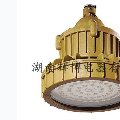 辉博BED8628 直销防爆防爆防腐防尘节能灯