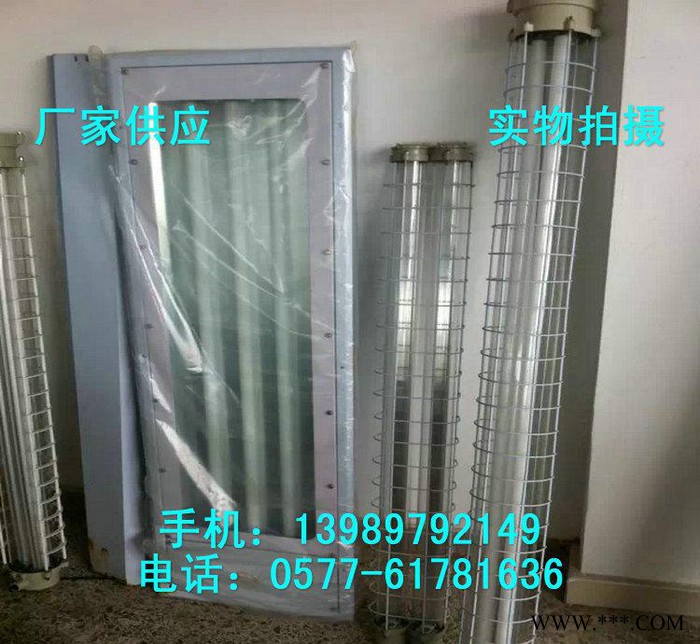 双管洁净荧光灯 BHY-2*36W防爆洁净荧光灯图2