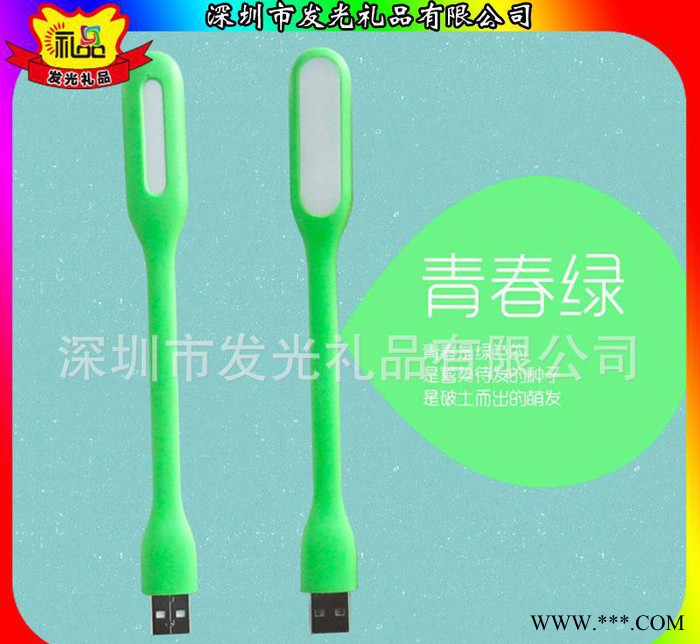 学校庆典礼品 LED环保节能灯 USB随身灯 迷你移动灯 销售图1