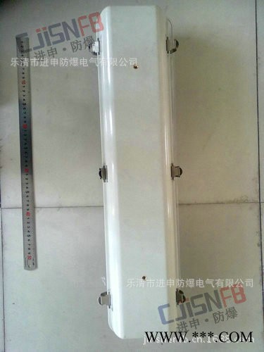 防爆防腐全塑荧光灯 BIY-DIP粉尘防爆防腐荧光灯图3