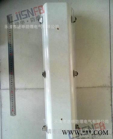 防爆防腐全塑荧光灯 BIY-DIP粉尘防爆防腐荧光灯
