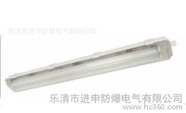 BYS防爆防腐全塑荧光灯 BYS 防爆防腐节能荧光灯