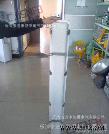 BYS 防爆防腐全塑荧光灯 防爆三防荧光灯 双管荧光灯 单管荧光灯图3
