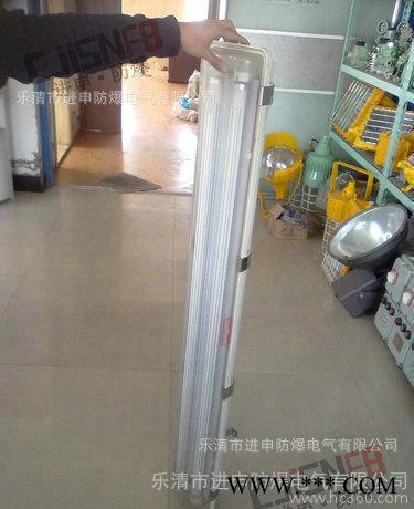 BYS 防爆防腐全塑荧光灯 防爆三防荧光灯 双管荧光灯 单管荧光灯图1