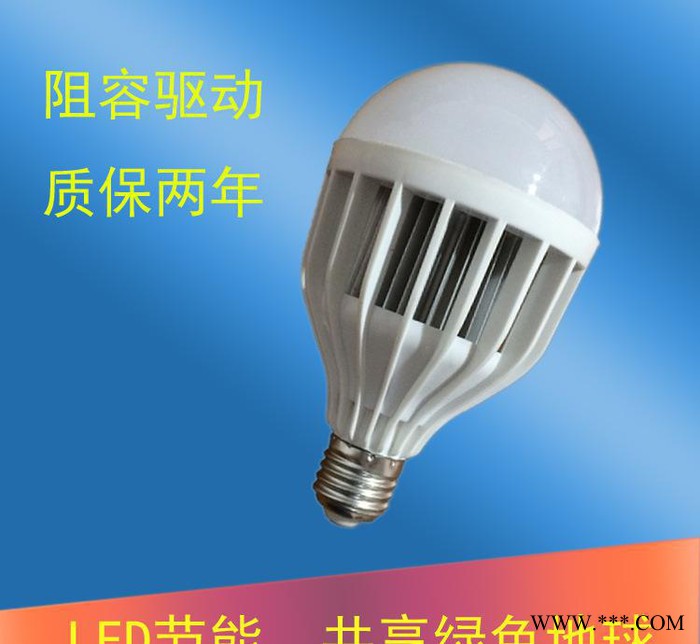 耀烁丽 LED球泡15W18W球泡鸟笼LED大球泡节能灯直销图3