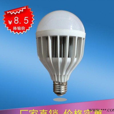 耀烁丽 LED球泡15W18W球泡鸟笼LED大球泡节能灯直销