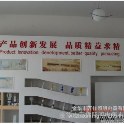 供应万祥照明WXZM--009节能灯电子镇流器
