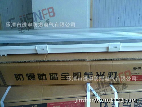 BAY81防爆防腐全塑荧光灯 三防荧光灯 防水防尘防腐荧光灯图2