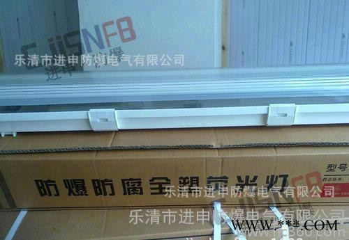BAY81防爆防腐全塑荧光灯 三防荧光灯 防水防尘防腐荧光灯图3
