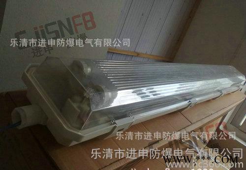 BAY81防爆防腐全塑荧光灯 三防荧光灯 防水防尘防腐荧光灯图1