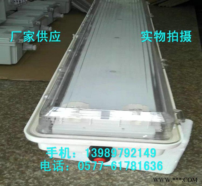 FYS-2*40W防爆防腐全塑荧光灯图2