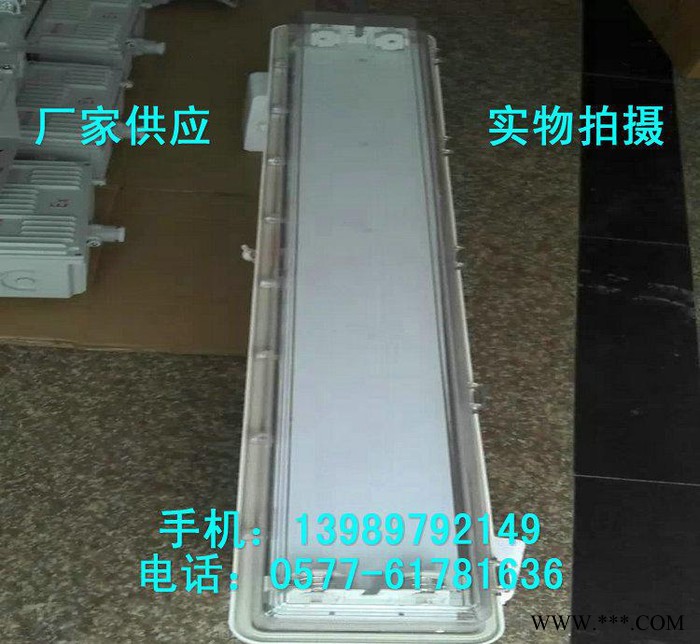 FYS-2*40W防爆防腐全塑荧光灯图3