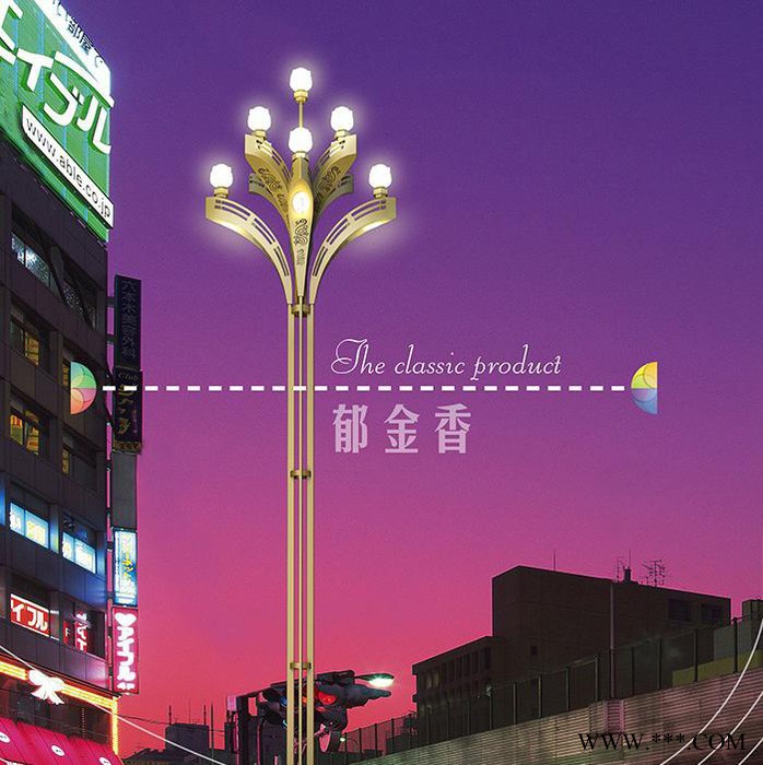 鹏万达MD-郁金香 景观灯  路灯 造型独特 高效节能 品质保证 ** 欢迎来电咨询