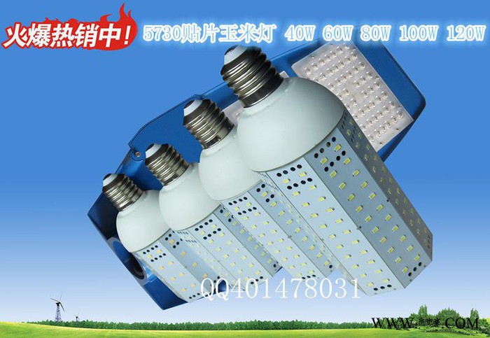 LED玉米灯 质保2年 40W 60W照明节能灯40w玉米灯图3