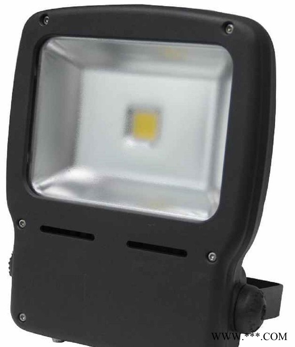 直销10W LED防眩投光灯、景观灯草坪灯图3